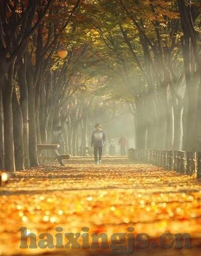 激情图片伦理小说-激情、图片与伦理的交织，一部小说创作的深度探索