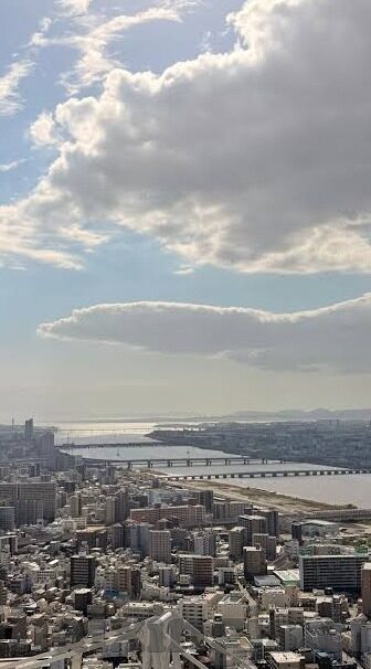 麻豆免费下载app-多彩生活中的趣味探索 —— 麻豆免费下载app的全面解析