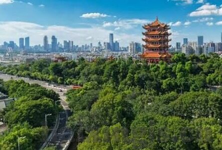 麻豆视频是干什么的-麻豆视频，数字娱乐新风尚的缩影